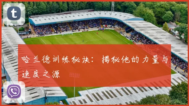 哈兰德训练秘诀:揭秘他的力量与速度之源